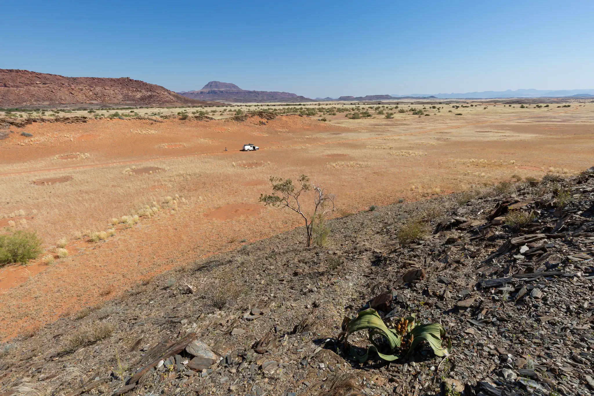 Driving through Damaraland during a private guided safari in Namibia