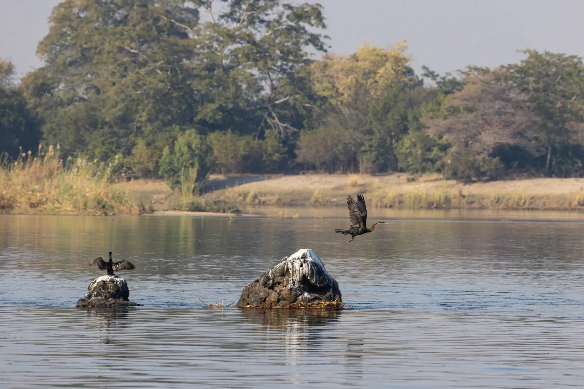 The Kavongo river in the Zambezi region of Namibia