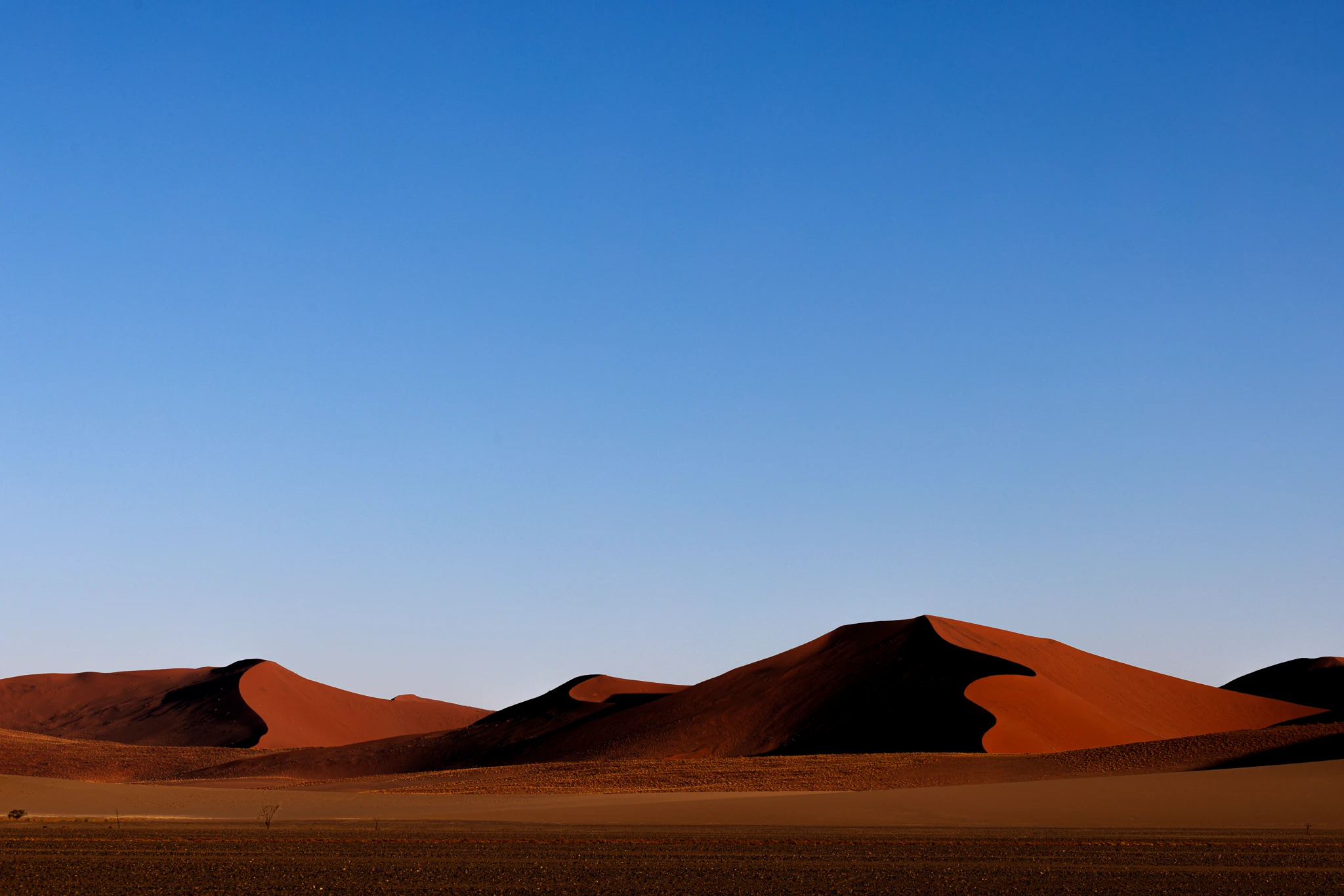Sossusvlei during a private guided safari expedition in Namibia