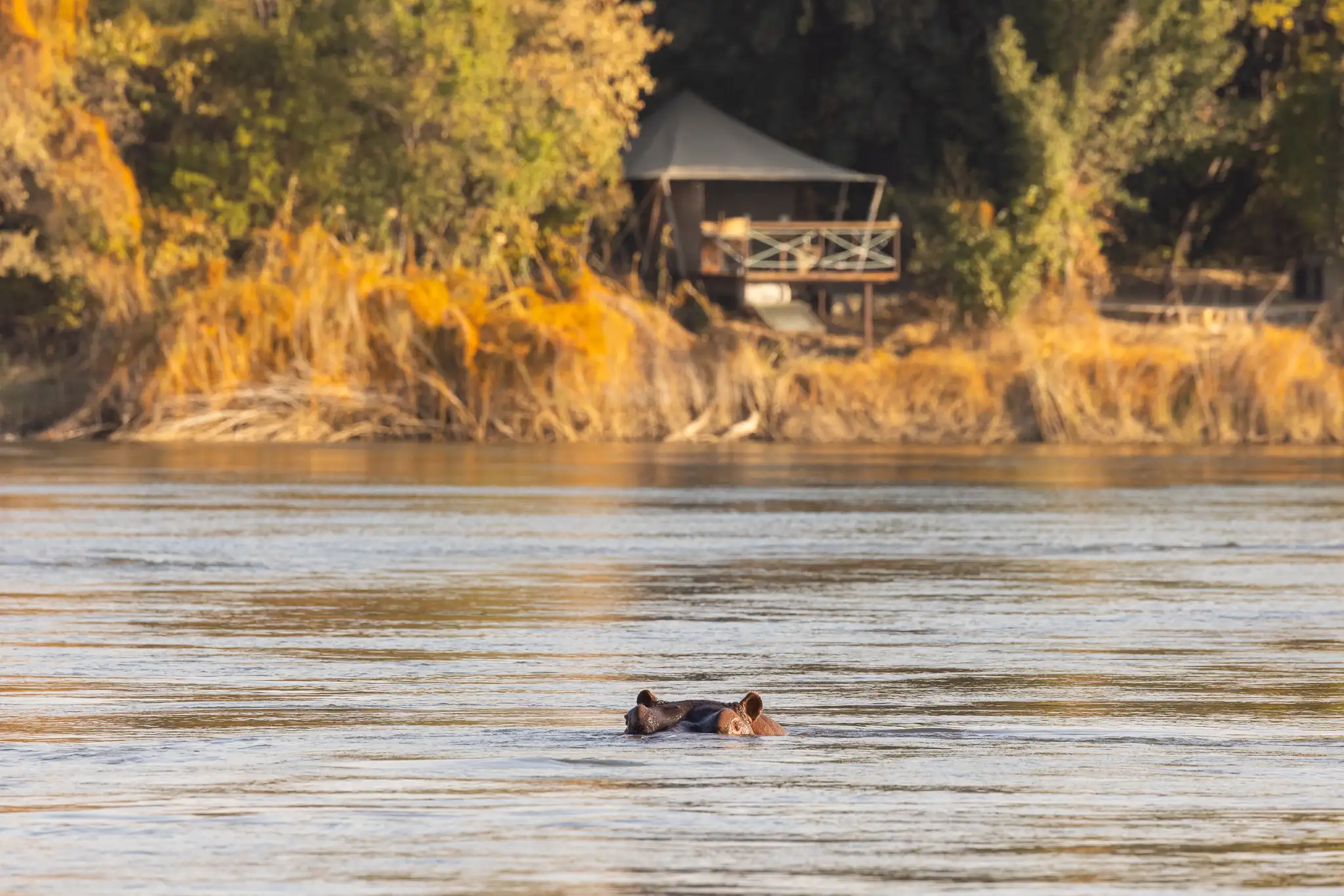 Private safari in the Zambezi region of Namibia