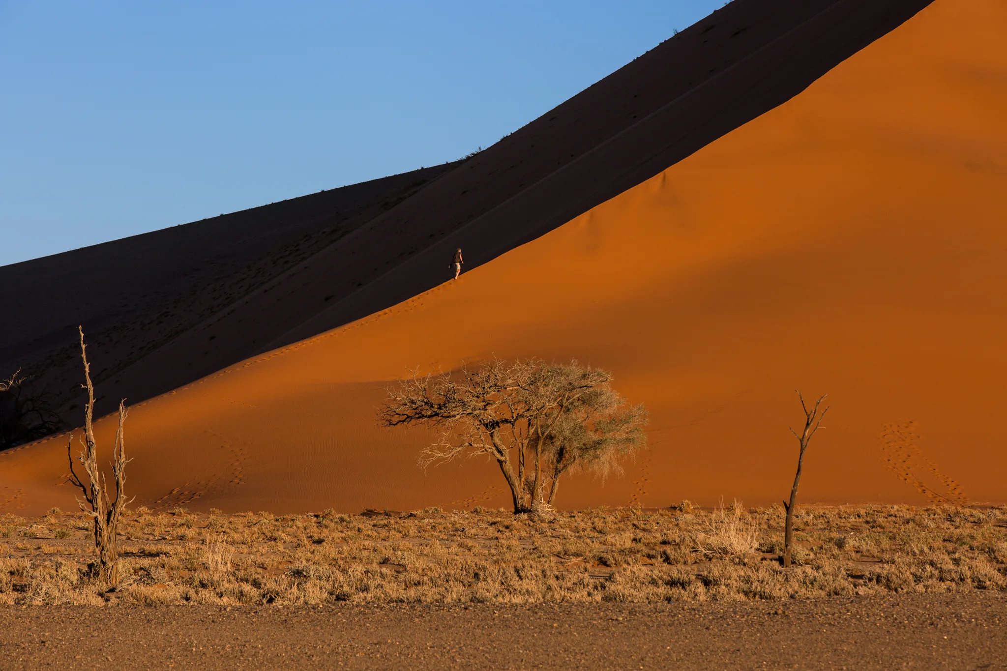 Red sand dunes of Sossusvlei, Namibia